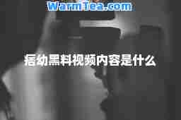 痞幼黑料视频内容是什么