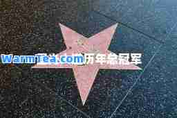 星光大道历年总冠军