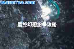 最终幻想纷争攻略