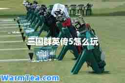 三国群英传5怎么玩