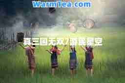 真三国7游民星空