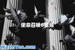 使命召唤6视频
