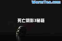 死亡阴影3秘籍
