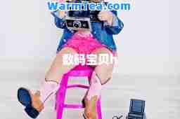 数码宝贝h