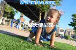 亿婴天使早教