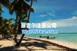 塞舌尔注册公司