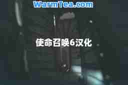 使命召唤6汉化