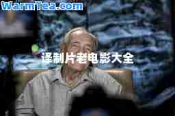 译制片老电影大全