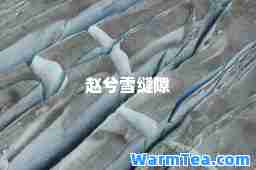 赵兮雪缝隙