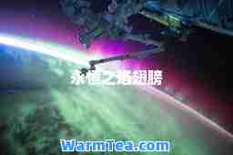 永恒之塔翅膀