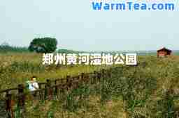 郑州黄河湿地公园