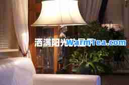 洒满阳光的屋子