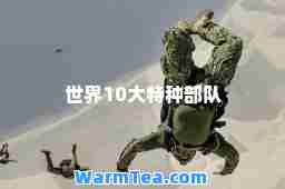 世界10大特种部队