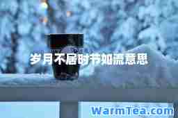岁月不居时节如流意思