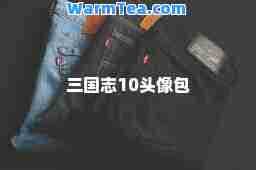 三国志10头像包