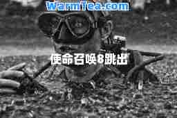 使命召唤8跳出