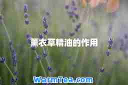 薰衣草精油的作用
