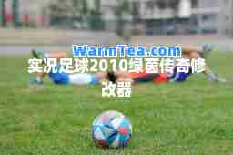 实况足球2010绿茵传奇修改器