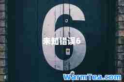 未知错误6