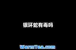 银环蛇有毒吗