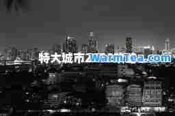 特大城市2012攻略