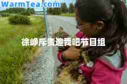 徐峥斥责追我吧节目组