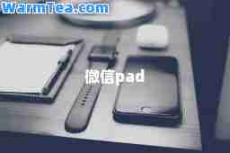 微信pad