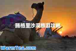腾格里沙漠旅游攻略