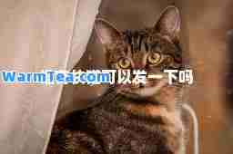 谁有快猫可以发一下吗