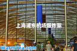 上海浦东机场爆炸案