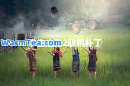 求生之路2联机补丁
