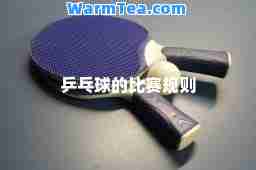 乒乓球的比赛规则