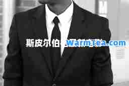斯皮尔伯格最新电影