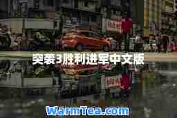 突袭3胜利进军中文版