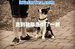 直到我膝盖中了一箭