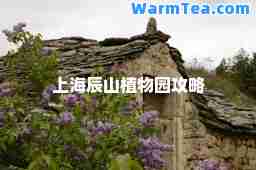 上海辰山植物园攻略