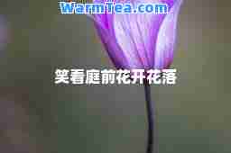 笑看庭前花开花落