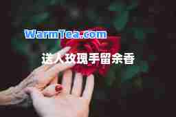 送人玫瑰手留余香 送人玫瑰手留余香