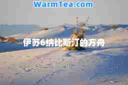 伊苏6纳比斯汀的方舟