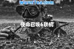 使命召唤6联机