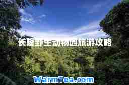 长隆野生动物园旅游攻略