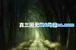 真三国无双3马镫