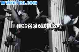 使命召唤6联机教程