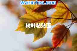 树叶粘贴画