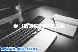 专门放黄的软件破解版