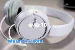 索尼r10