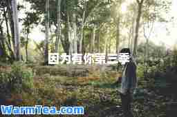 因为有你第三季