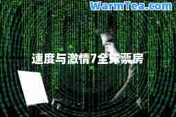 速度与激情7全球票房